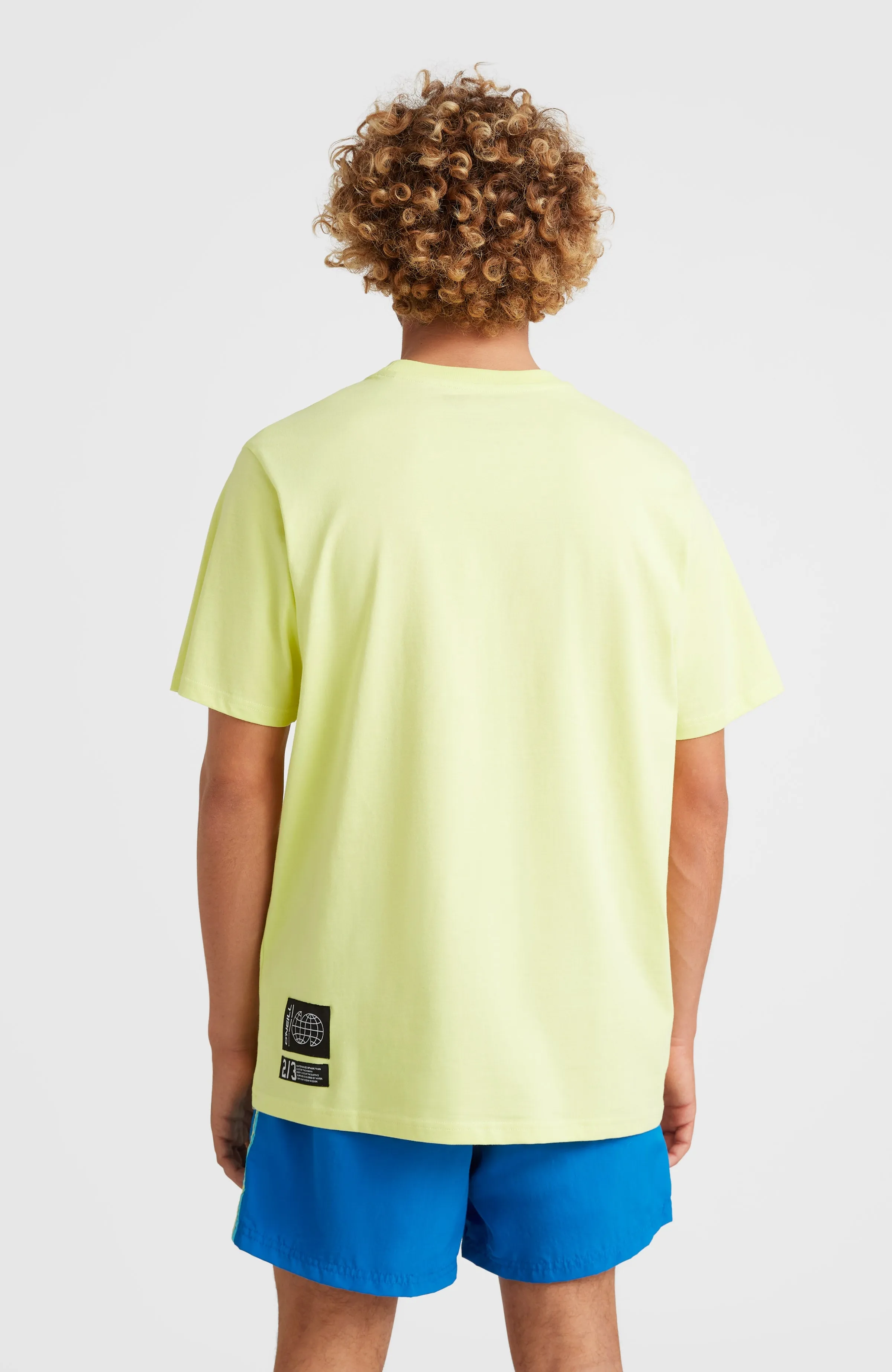 Paxton T-Shirt | Sunny Lime